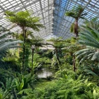 Garfield Park Conservatory Alliance