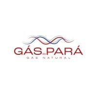 Gás do Pará