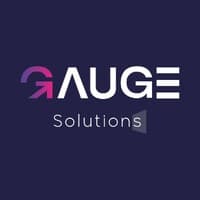 Gauge Solutions