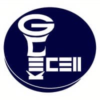E-Cell, GCE Karad