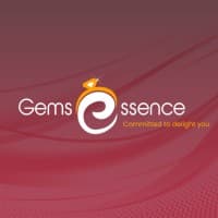 Gems Essence Infotech Pvt Ltd