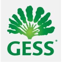 GESS - German European School Singapore