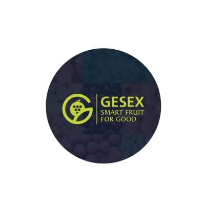 Gesex