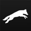Glassfox