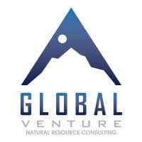 Global Venture