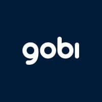 Gobi Stories