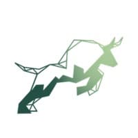 Green Bull Investment Banking Group
