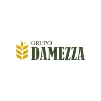 Grupo Damezza
