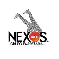 GRUPO EMPRESARIAL NEXOS