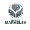 Grupo Marvelsa