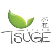 Grupo Tsuge