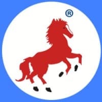 Hackney Solutions® - Digital Marketing Agency