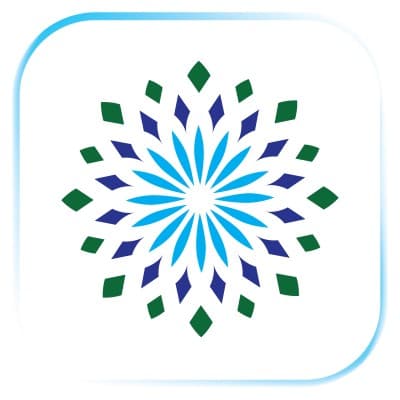 hassani group of companies