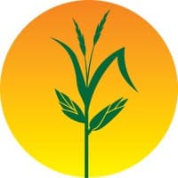 Healthy Harvest Food Bank