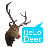 HELLO DEER STUDIOS