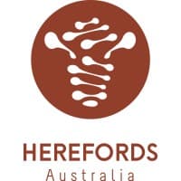 Herefords Australia