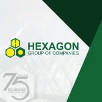 hexagon group of companies