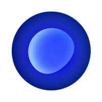 Blue (YC S25)