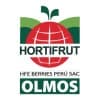 HFE Berries PERU SAC
