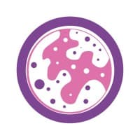 Histo APP