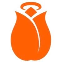 Holland Startup