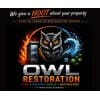 Owl Restoration