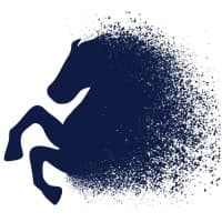 Hover Horse Studios Private Limited