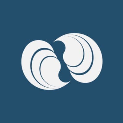 HSL Technologies (HySiLabs)