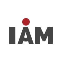 I AM Consulting Group