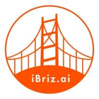 iBriz.ai