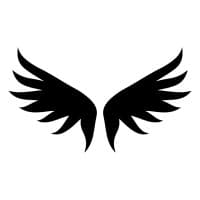 Icarus