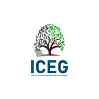 ICEG AFRICA