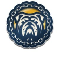 ICON Sales Team