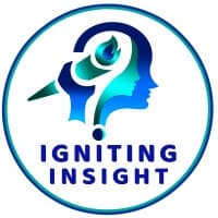 Igniting Insight