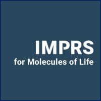 IMPRS-ML | International Max Planck Research School for Molecules of Life