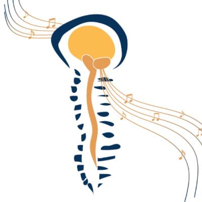 InclusiVibe Foundation