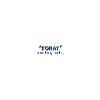 Indonesia Toray Synthetics, PT