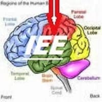 Intelligence Everywhere Enterprises