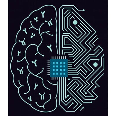Interacta Bio