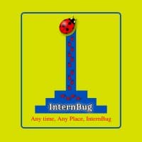 InternBug
