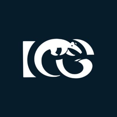 Irvine Consulting Group