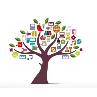iTekTree Consulting Inc