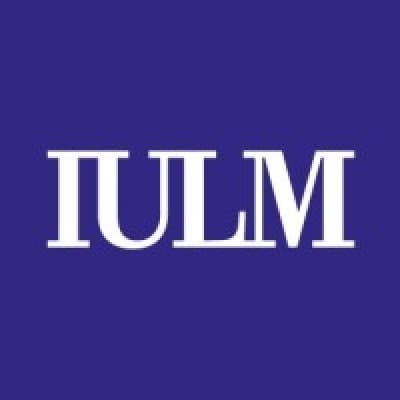 iulm university