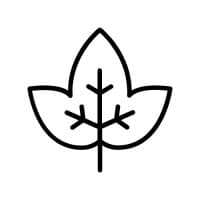 Ivy Distribution Ltd