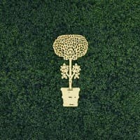 janus et cie
