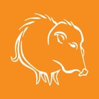 Javelina