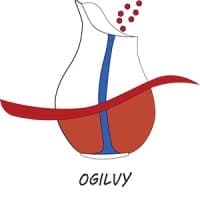 Jinan Ogilvy Chemical Co., Ltd