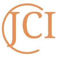 Jive Consulting Inc