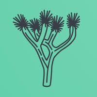 Joshua Tree Health