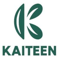 Kaiteen shoes